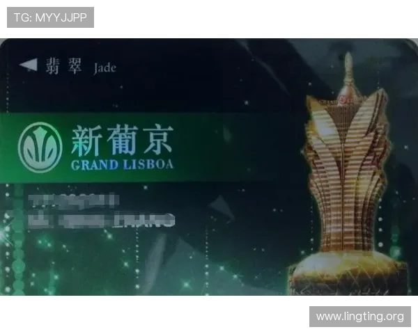 澳门新葡京app提供丰富的优惠活动和奖励机制提升玩家的游戏体验与收益