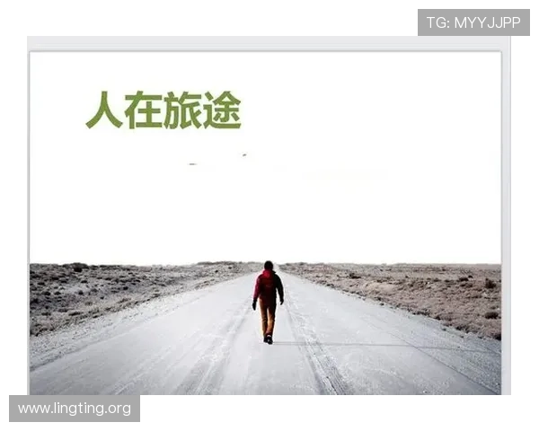 十六浦澳门安全旅游提示，确保你的旅途顺利愉快的实用建议与注意事项