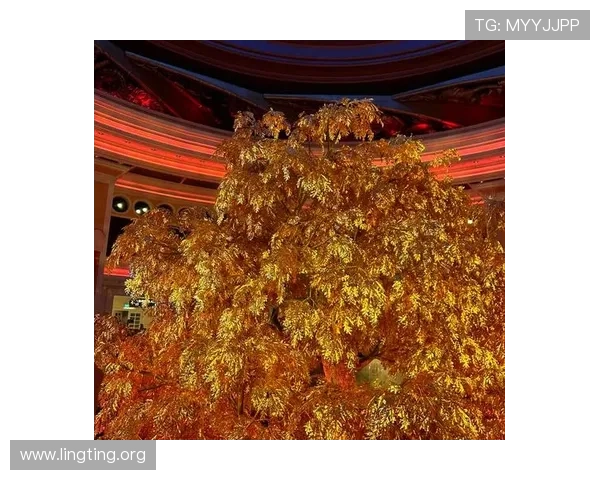 澳门凯旋登陆：澳门凯旋门周边的必访景点与美食推荐全攻略