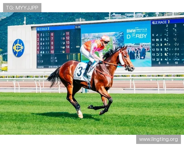 hkjc体育：香港赛马会体育博彩的法律法规与安全保障措施全面解析