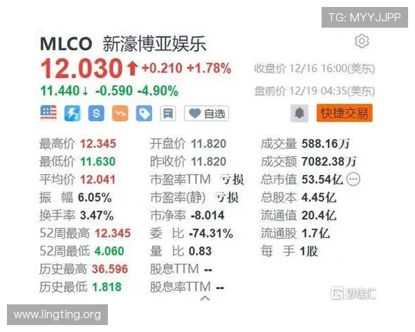 新濠博亚娱乐有限公司的投资机会与合作伙伴关系详细介绍