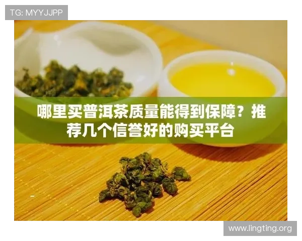 永利在线第一品牌，保障用户资金安全的核心措施与信誉保障